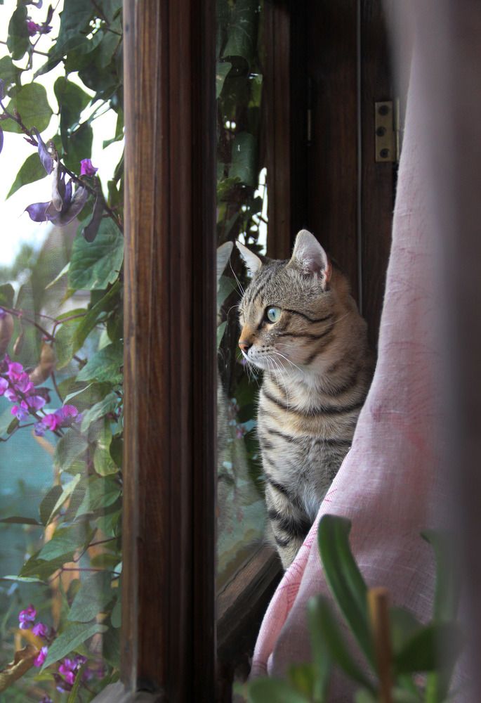 Photograph by Mariya Mityukova