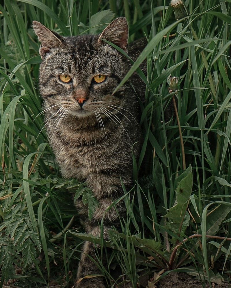 Photograph by Татьяна Гринько