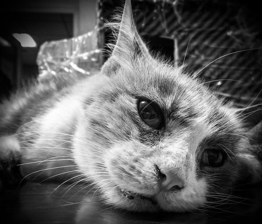 Photograph by Дмитрий Соколов