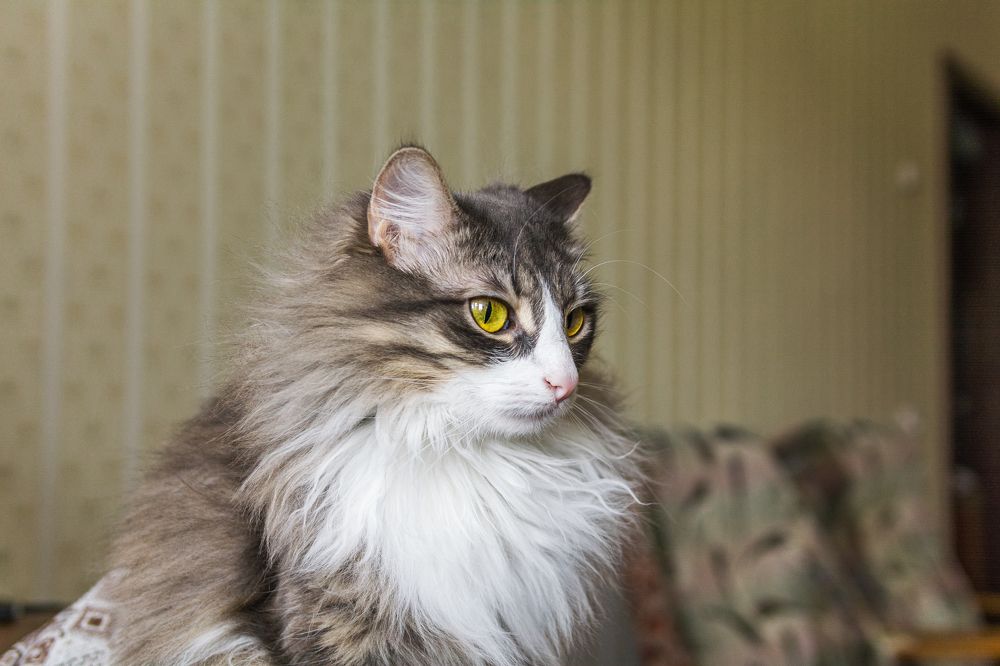 Photograph by Артём Александрович