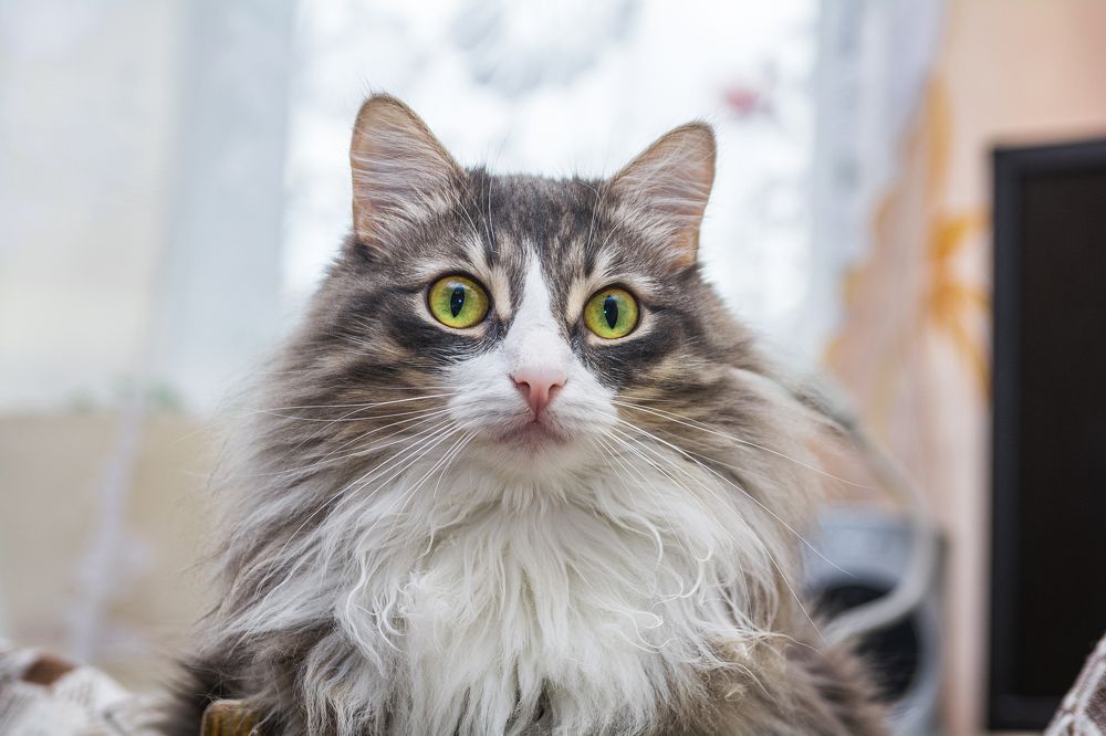 Photograph by Артём Александрович