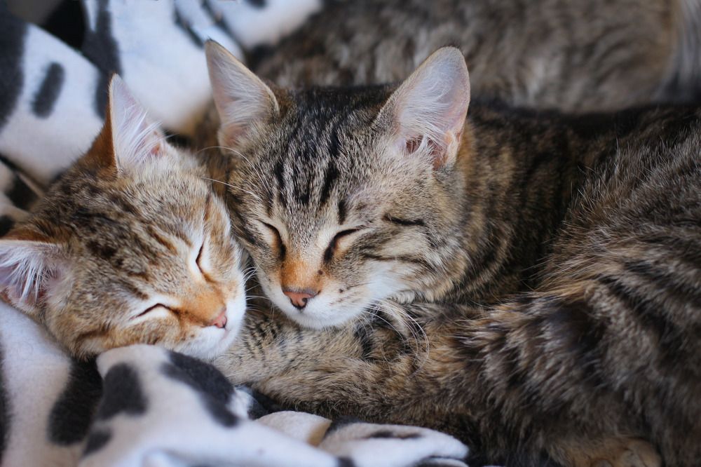 Photograph by Mariya Mityukova