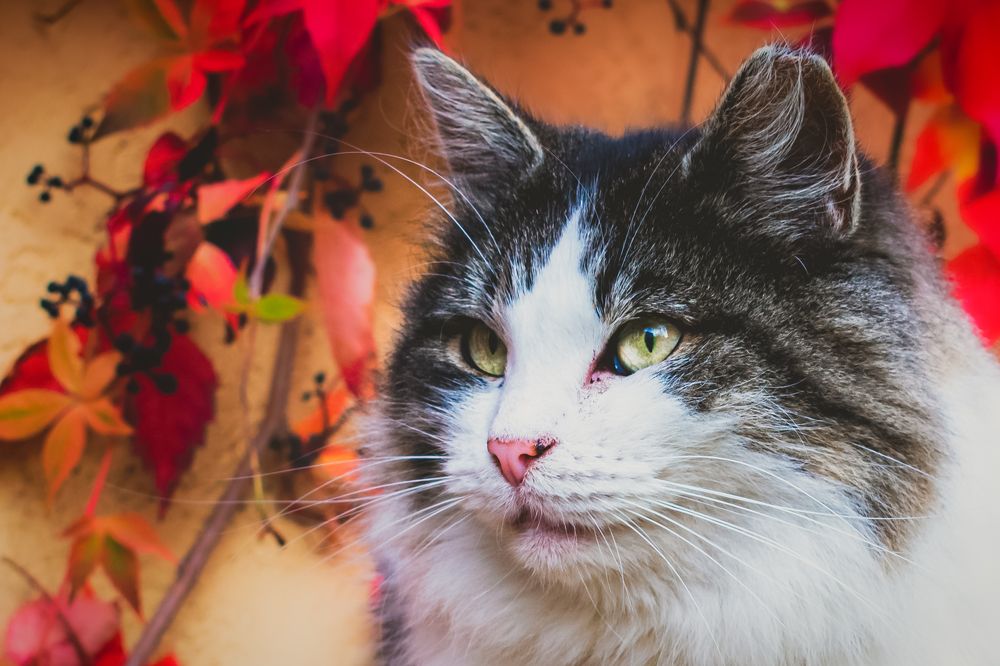 Фотография автора Андрей Жуков