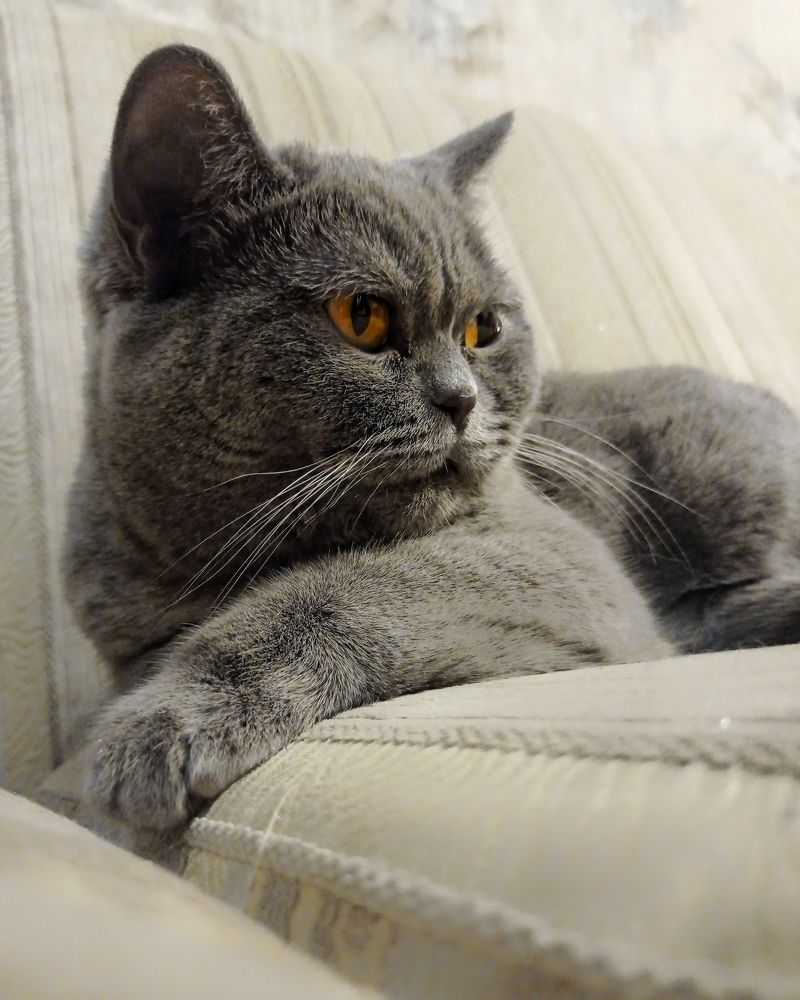 Photograph by Ольга Третьякова