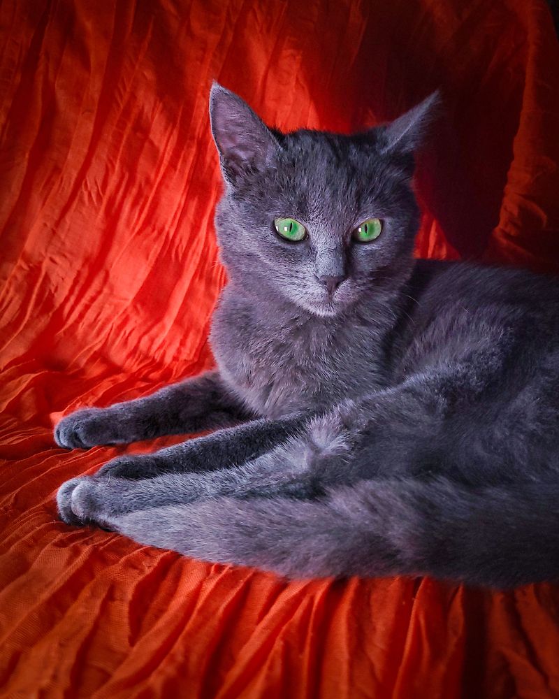 Photograph by T.Ю. Гринько
