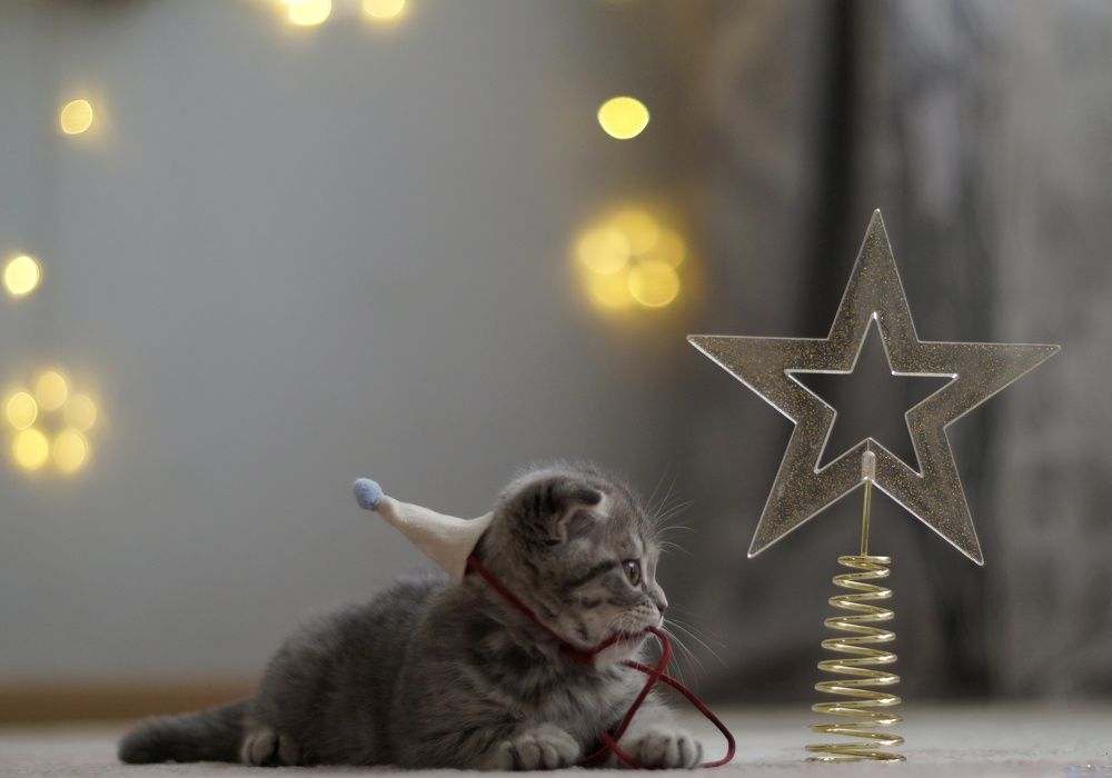 Photograph by Анастасия Позинич