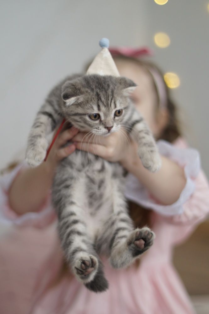 Photograph by Анастасия Позинич