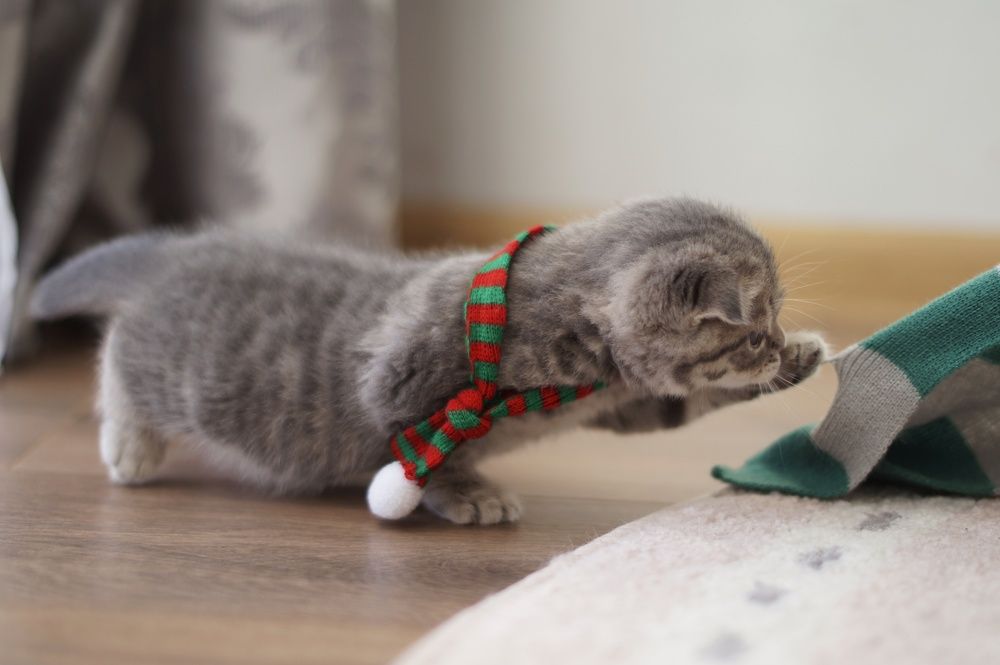 Photograph by Анастасия Позинич