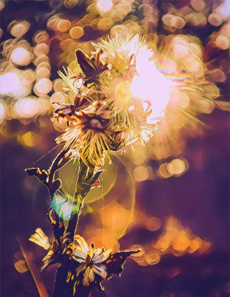 Photograph by Николай Яковлев