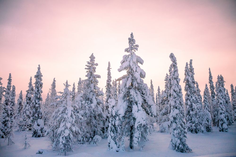 Фотография автора Anne Gabrielle Mougin