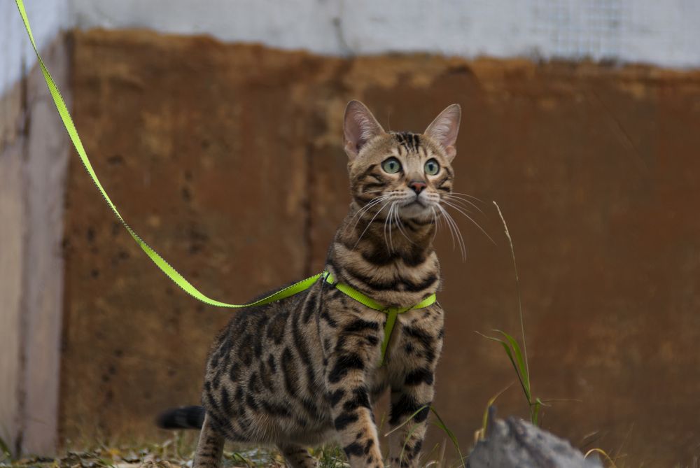 Photograph by Дубровин Николай