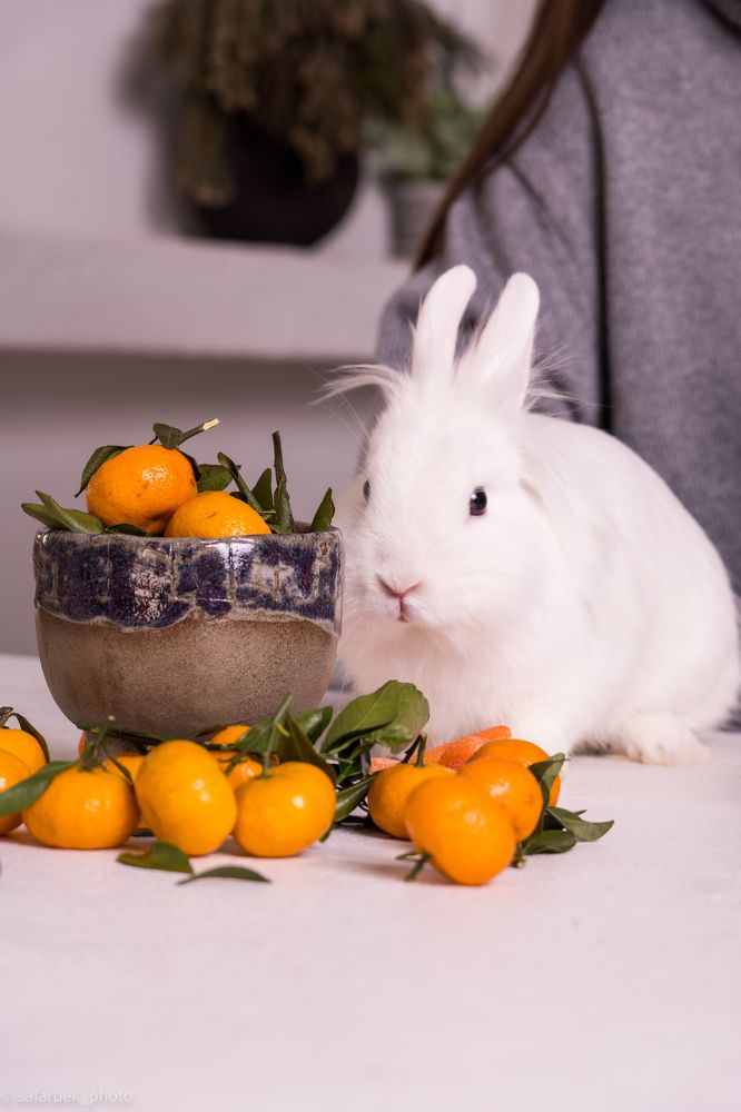 Photograph by Александр Кудрявцев