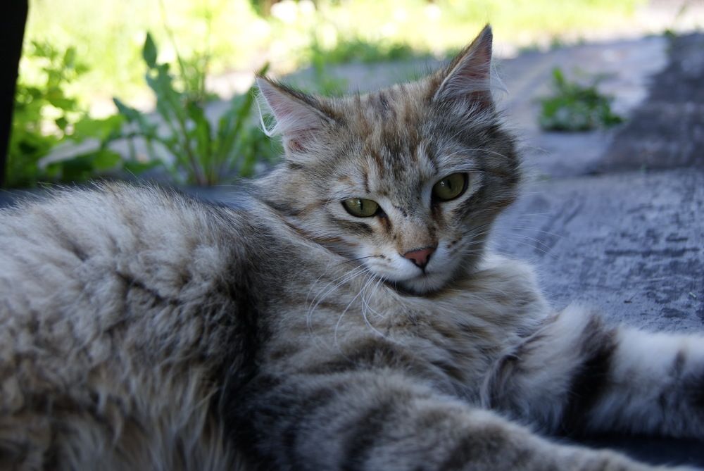 Photograph by Дубровин Николай