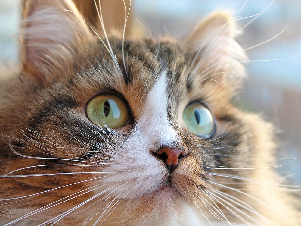 Photograph by Юлия Ташлыцкая