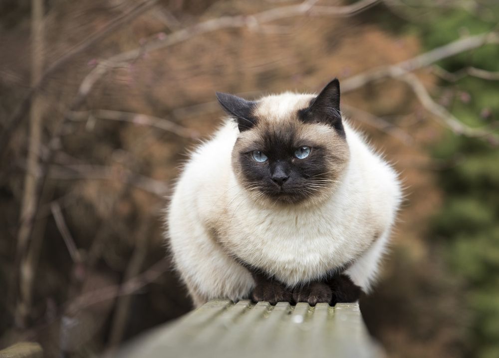 Фотография автора Uljana Kuchar