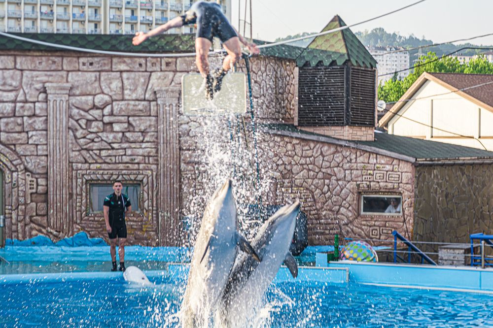 Photograph by Артём Александрович