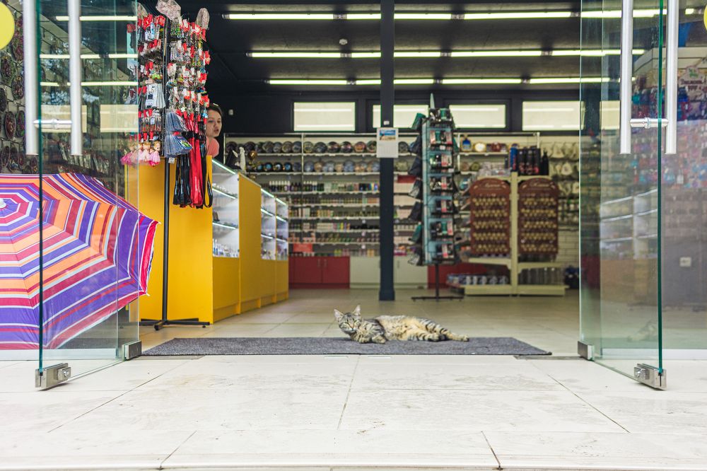 Photograph by Артём Александрович