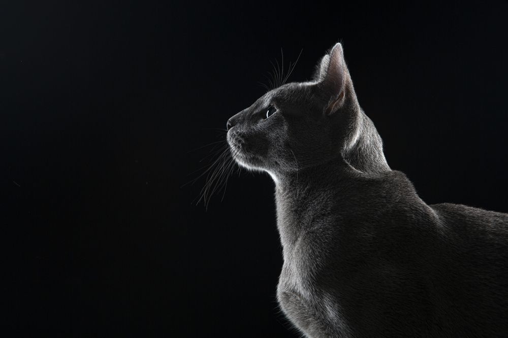 Photograph by Katerina Mumzhinskaya