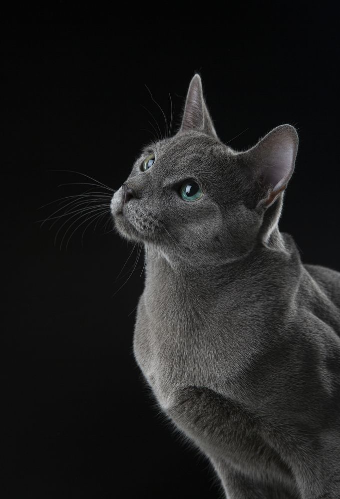 Фотография автора Katerina Mumzhinskaya