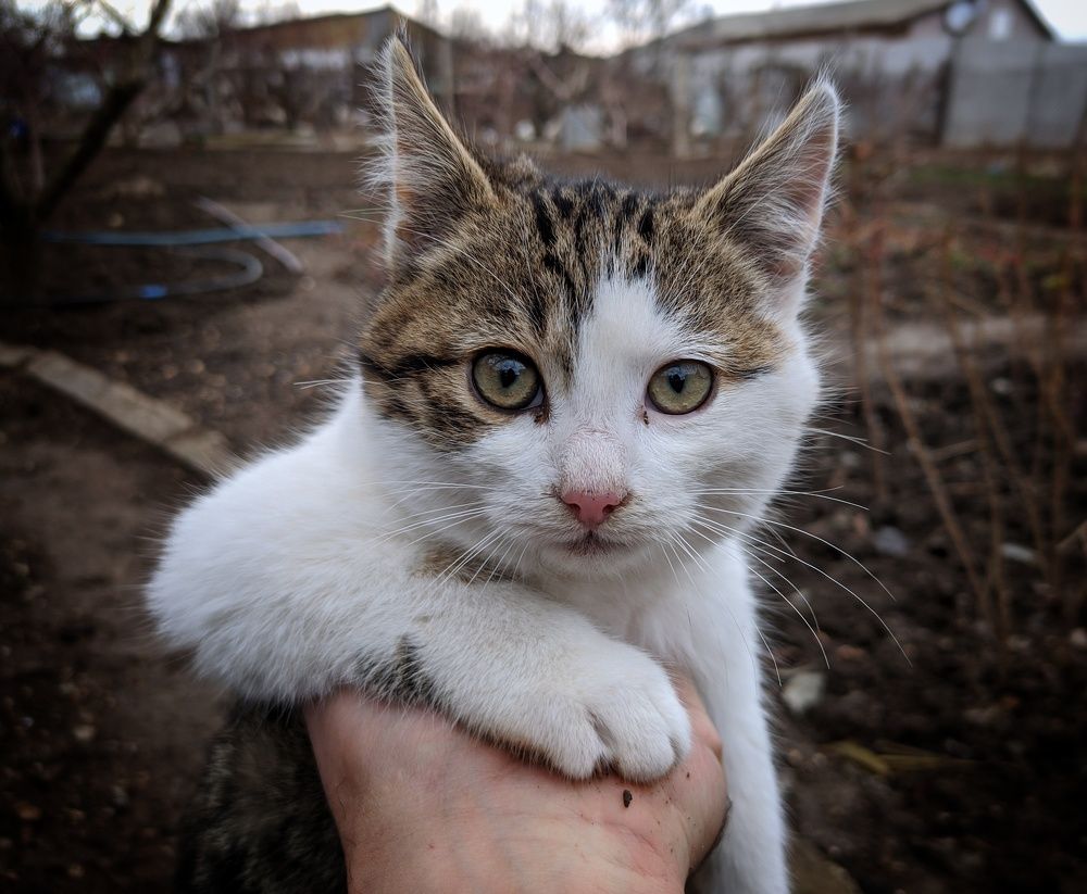 Photograph by Дмитрий Леонтенко