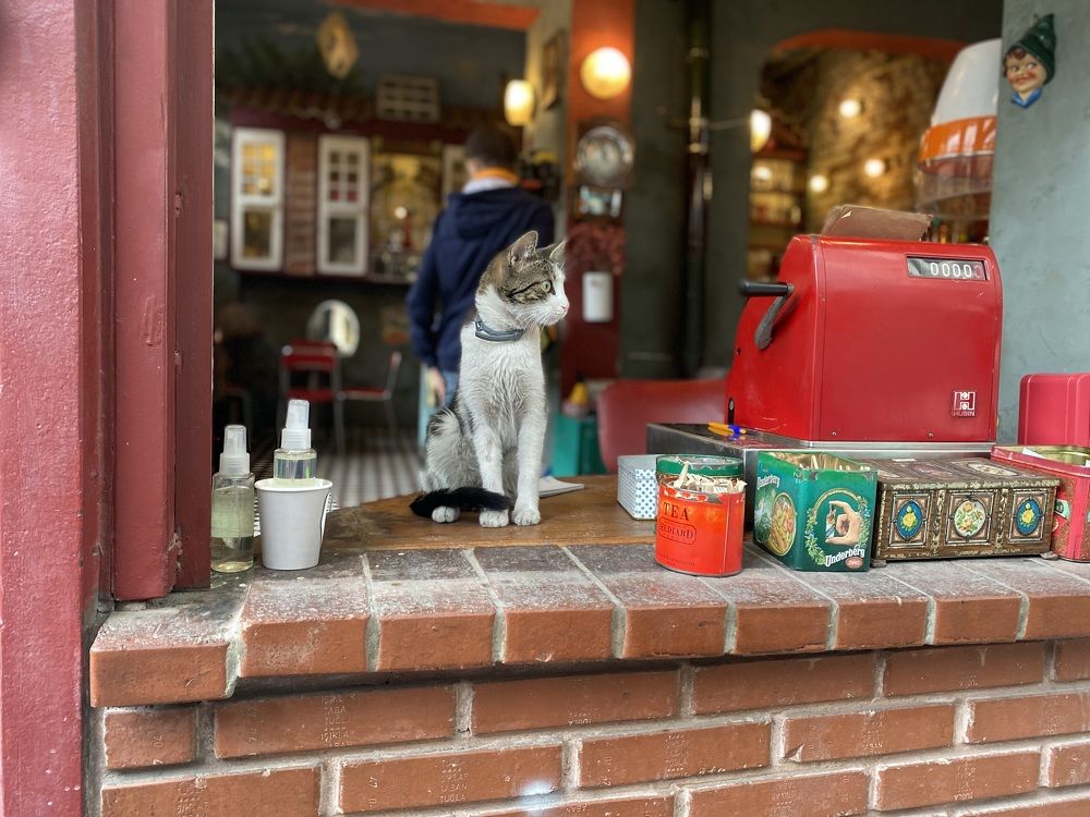 Photograph by Александр Кудрявцев