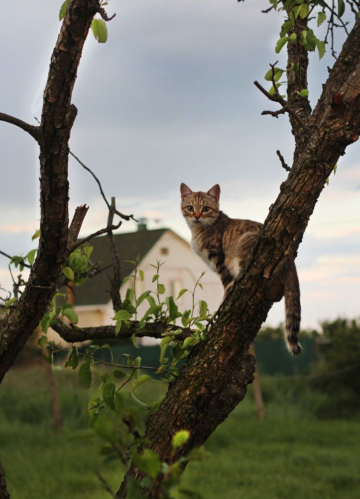 Photograph by Mariya Mityukova