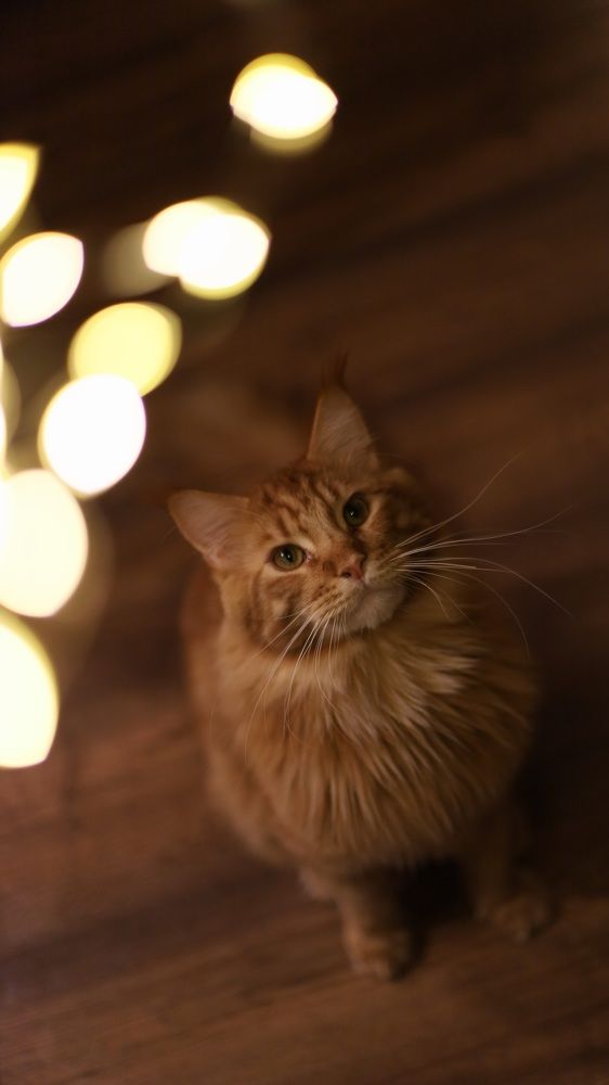 Photograph by Татьяна Дашкевич