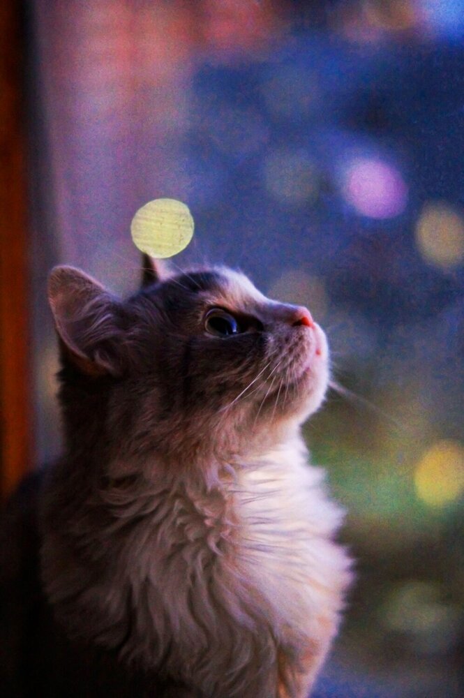 Photograph by Владилена Комелькова