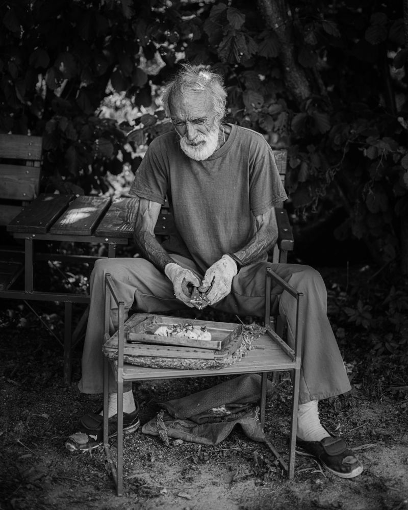 Photograph by Вера Голицына