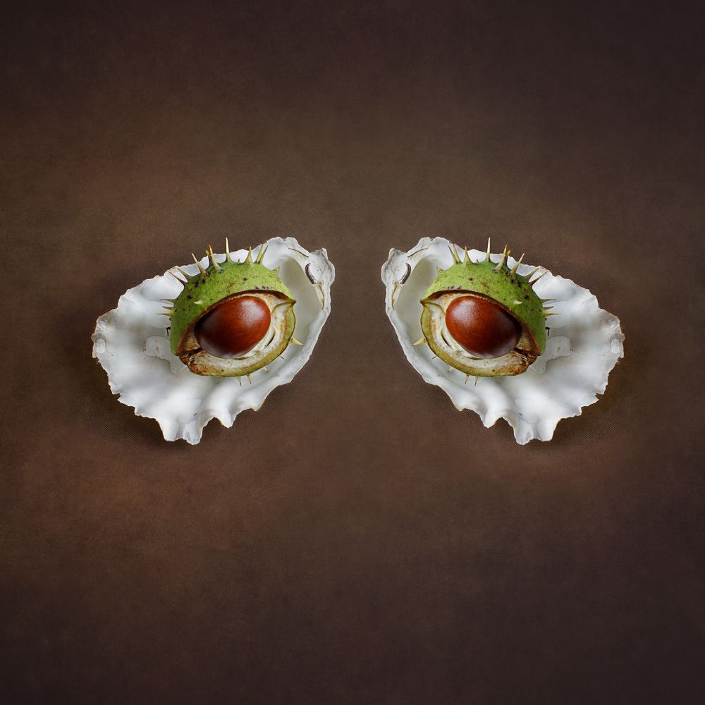 Photograph by Вера Голицына