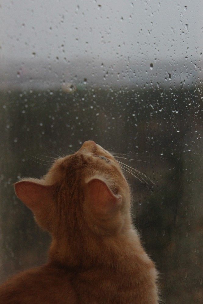 Photograph by Жанна