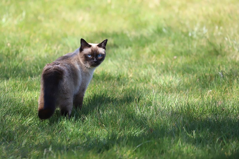 Фотография автора Uljana Kuchar