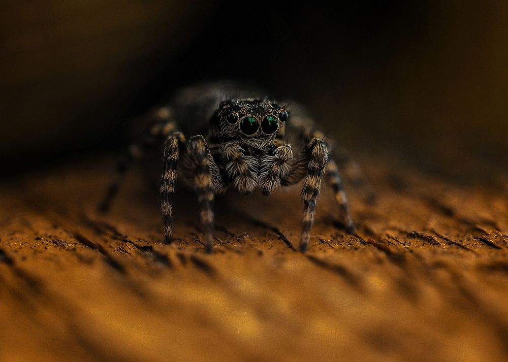 Photograph by Лейла Прощина