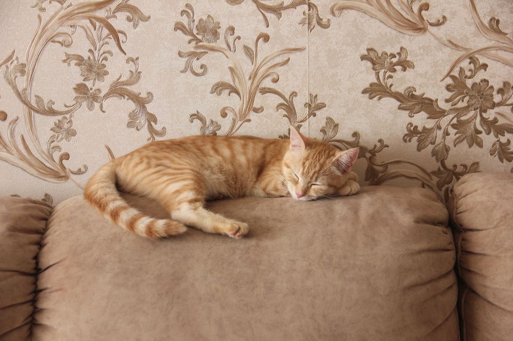 Photograph by Жанна