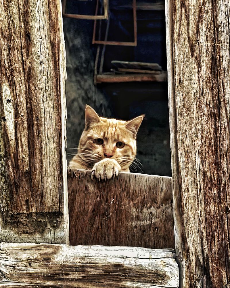 Photograph by MMD HORANFAR