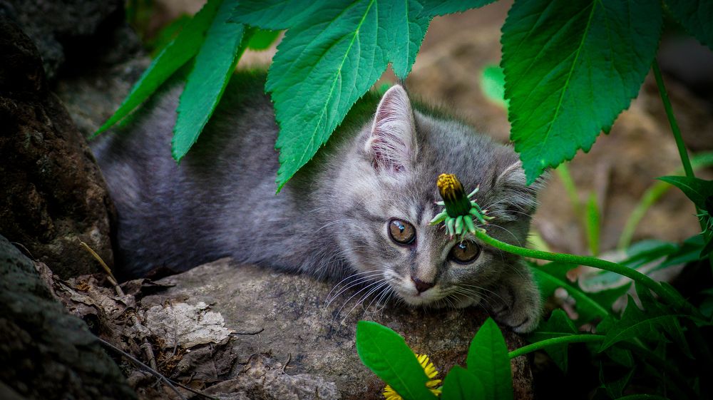 Photograph by Данияр Кожиков