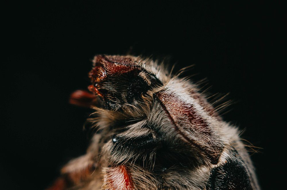 Photograph by Софья Лученкова