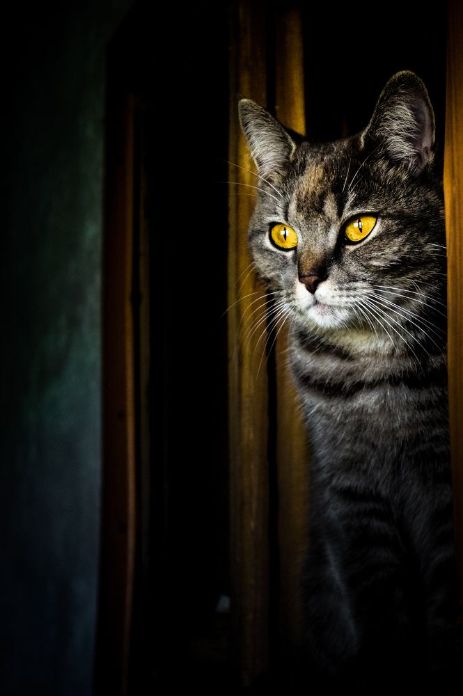 Photograph by Данияр Кожиков