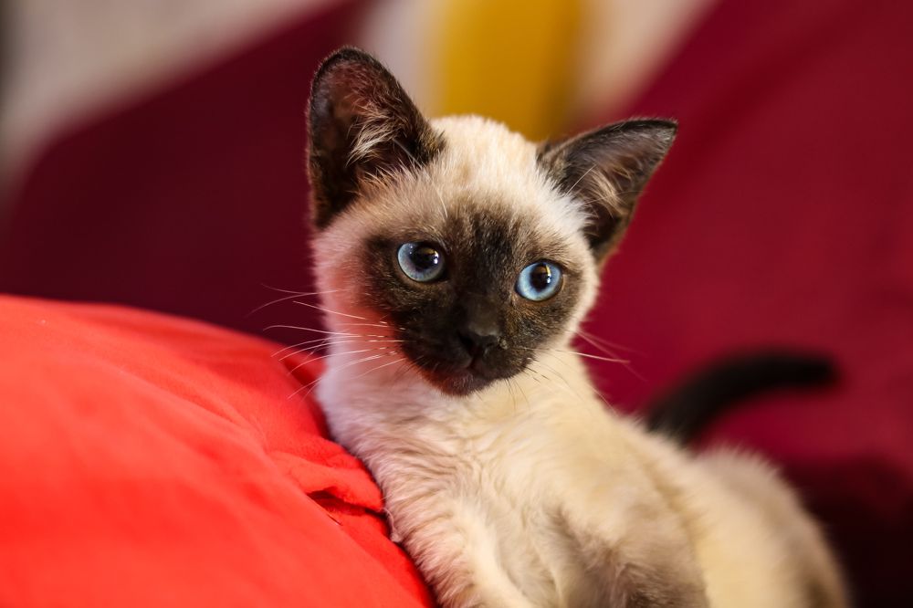 Photograph by Артем Большаков