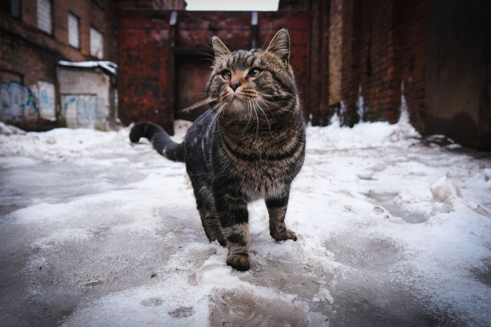 Photograph by Лазарев Евгений