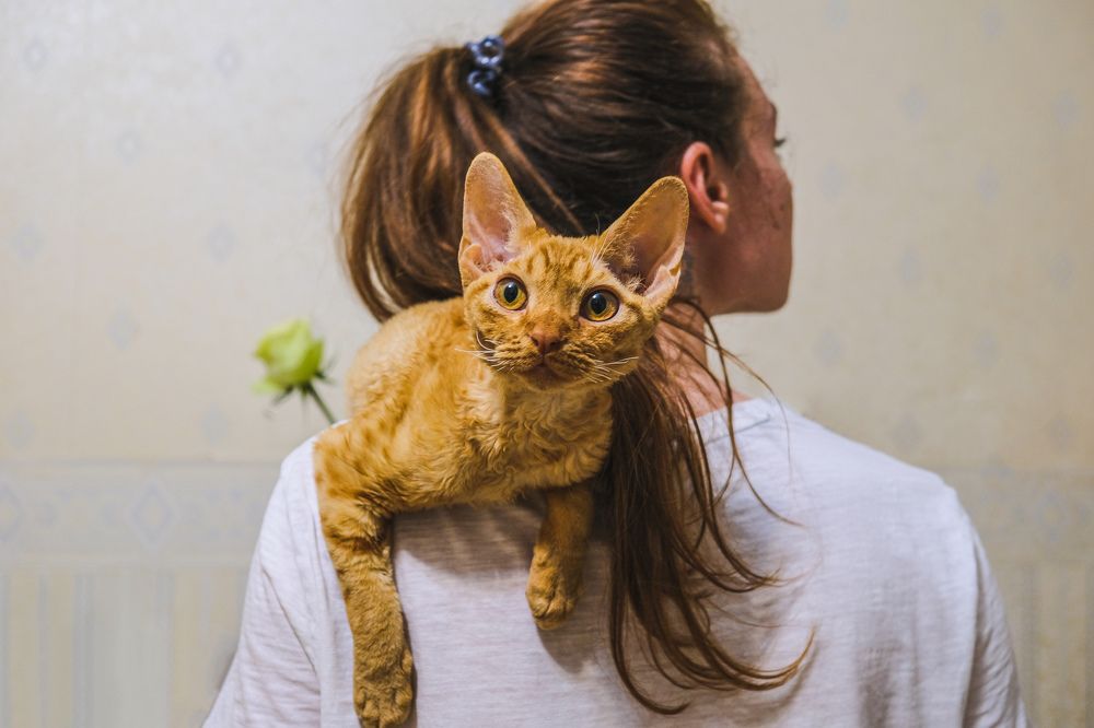 Photograph by Лазарев Евгений