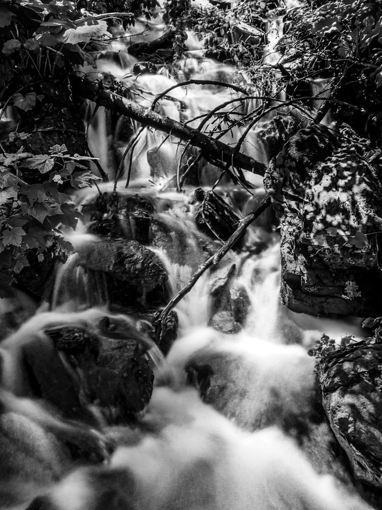 Photograph by Александр Кудрявцев