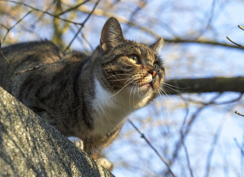 Фотография автора Uljana Kuchar