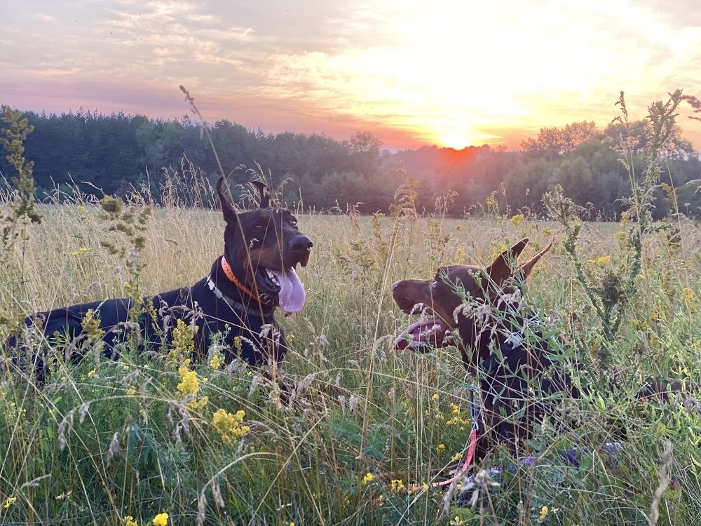 Photograph by Инна Капчинская