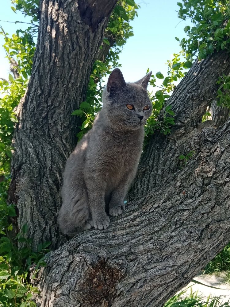 Фотография автора Natalia Khodina