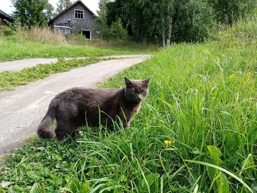 Фотография автора Natalia Khodina