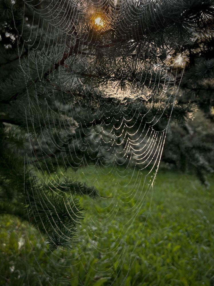 Photograph by Михаил Гордий