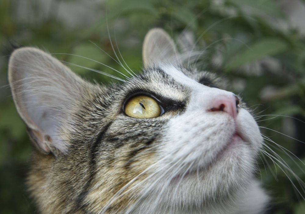 Photograph by Maria Ines Gomez