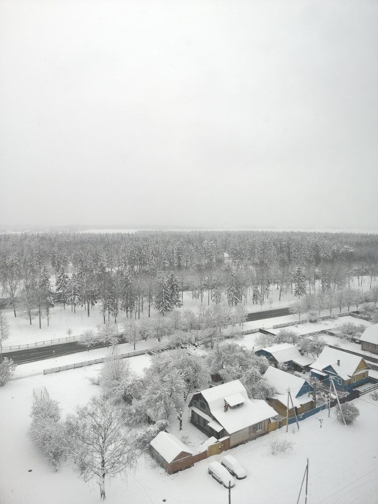 Фотография автора Елена Драко