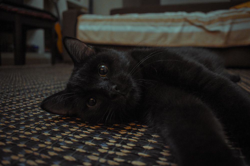 Photograph by Бекежан Мұхаметжанов